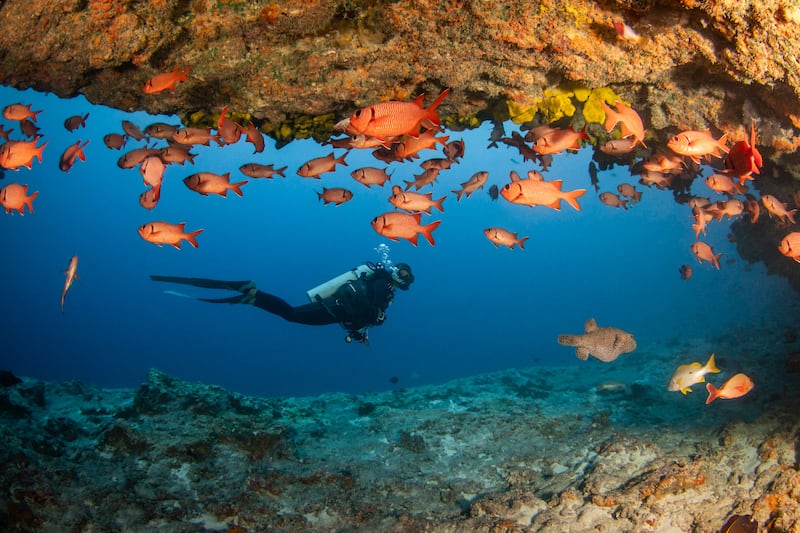 Islas de Tahiti