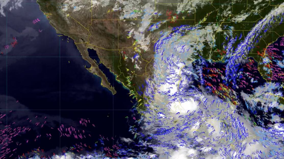 Así es el desplazamiento del fenómeno. (SMN)
