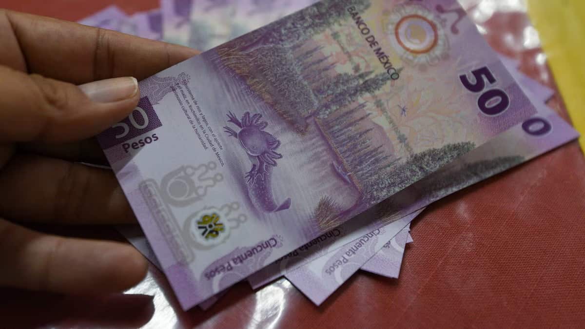 Vigilarán que empresas cumplan con aguinaldos