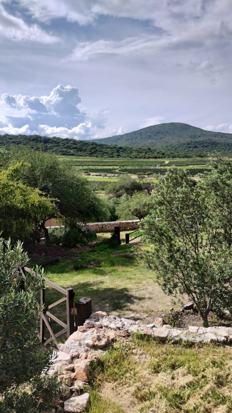 Ruta del Arte, Queso y Vino.