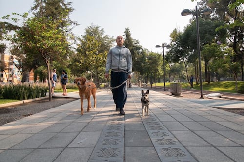 ¿Cuál es la alcaldía más segura de CDMX? INEGI reporta percepción de seguridad