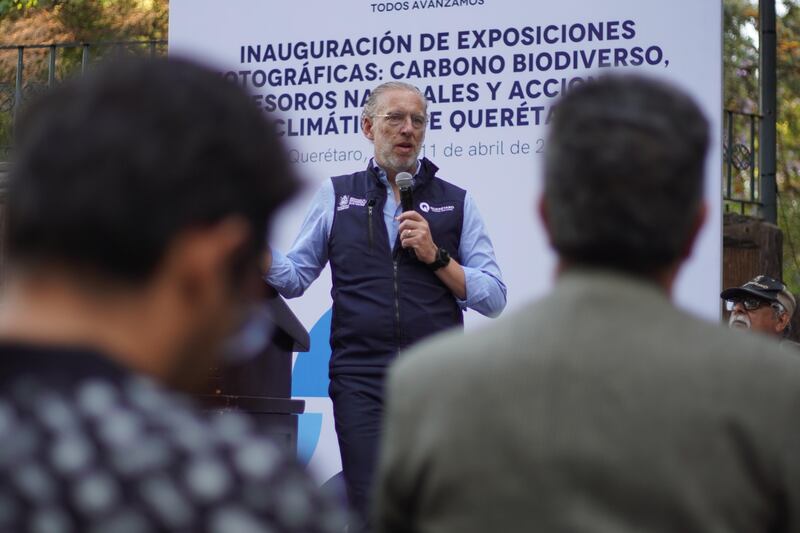 Exposición “Carbono Biodiverso”. /Cortesía