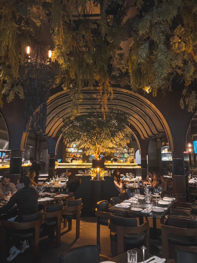 Colmillo y Sra. Tanaka son dos opciones que no puedes dejar de visitar. Cada uno promete una experiencia culinaria única que se complementa con un buen ambiente y una agradable atenció