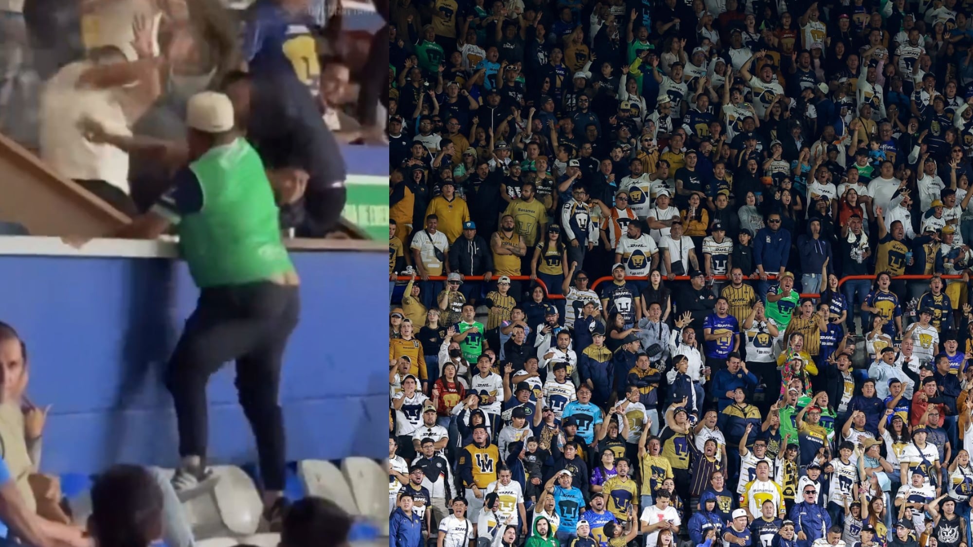 Afición de Pumas