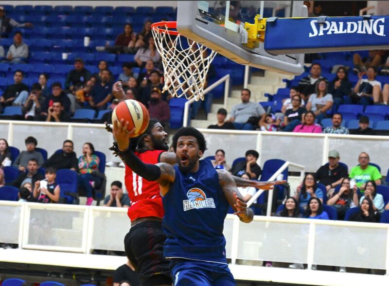 Halcones
