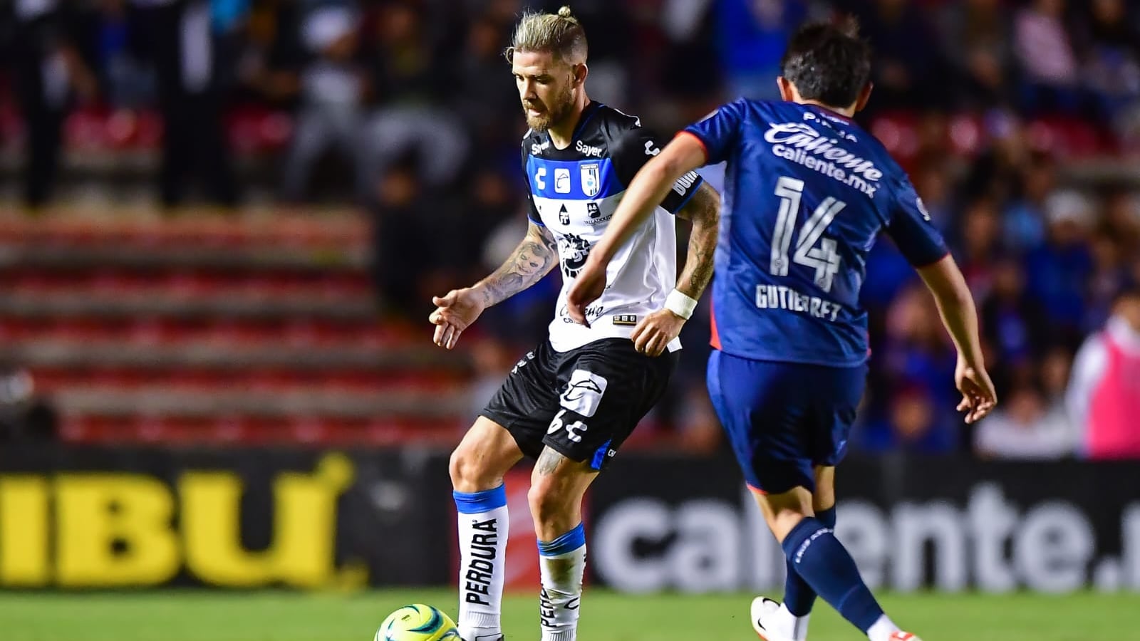 gallos blancos