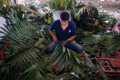 Guerrero en la pelea