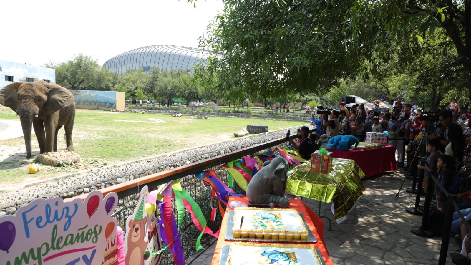 Cientos de visitantes acompañaron al mamífero, que ha enamorado a varias generaciones.