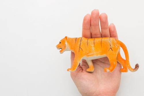 Columna Itinerante: El imposible retorno a lo animal