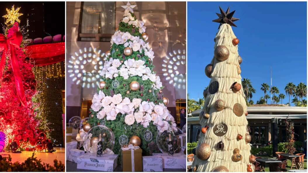 Te presentamos todo lo que necesitas para tener unas fiestas de navidad extraordiarias