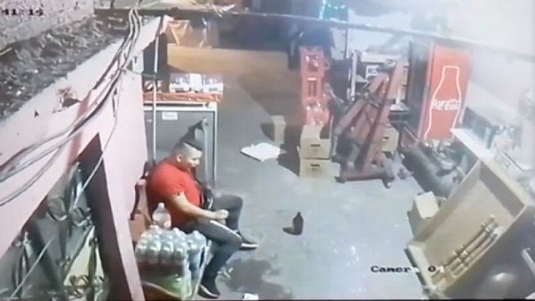 El hombre tomó al gato y comenzó a ahorcarlo, después de unos minutos logra torcerle el cuello y lo arroja al piso.