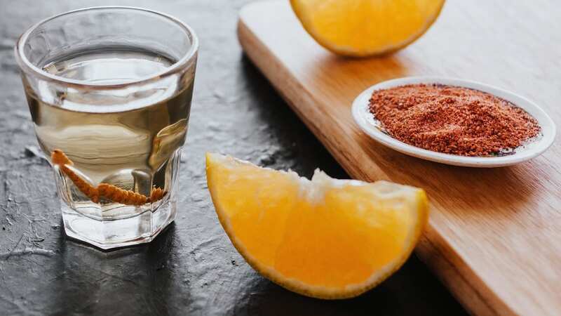 Cada litro de mezcal necesita entre 10 a 30 kilos de maguey para su elaboración.