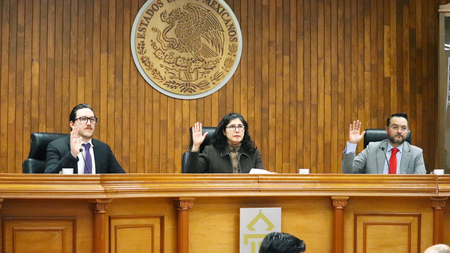 El Tribunal Estatal Electoral de Guanajuato resolvió que no hubo violencia política contra las mujeres en razón de género en un caso sobre financiamiento de campañas.