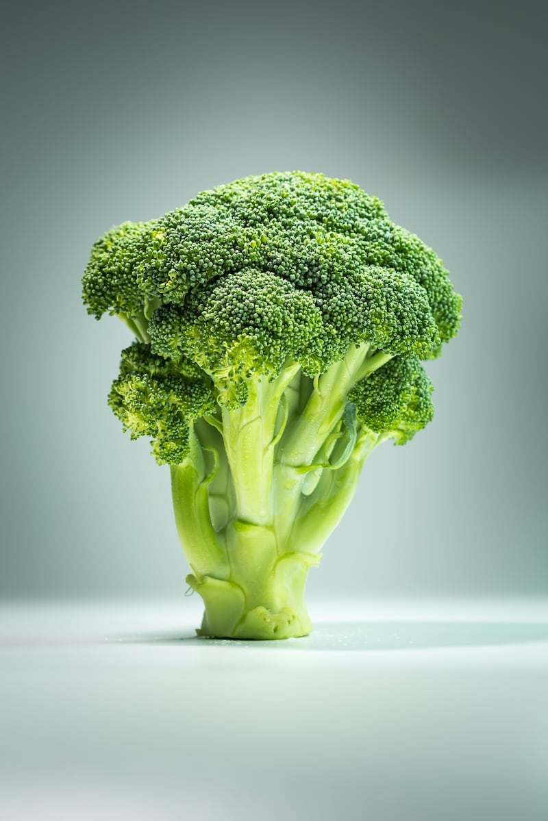 Popular en la vida cotidiana de muchas personas, el brócoli es una verdura más rica en nutrientes de lo que se piensa. Foto: Freepik.