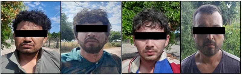 Detenidos en Sinaloa