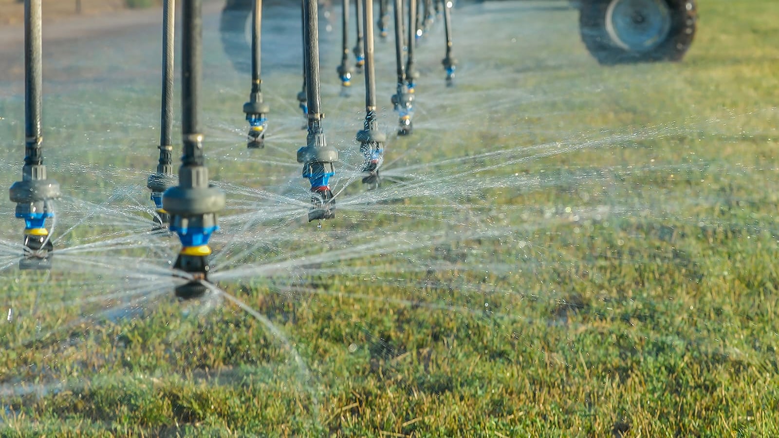 Apoyarán tecnificación de riego en el campo queretano