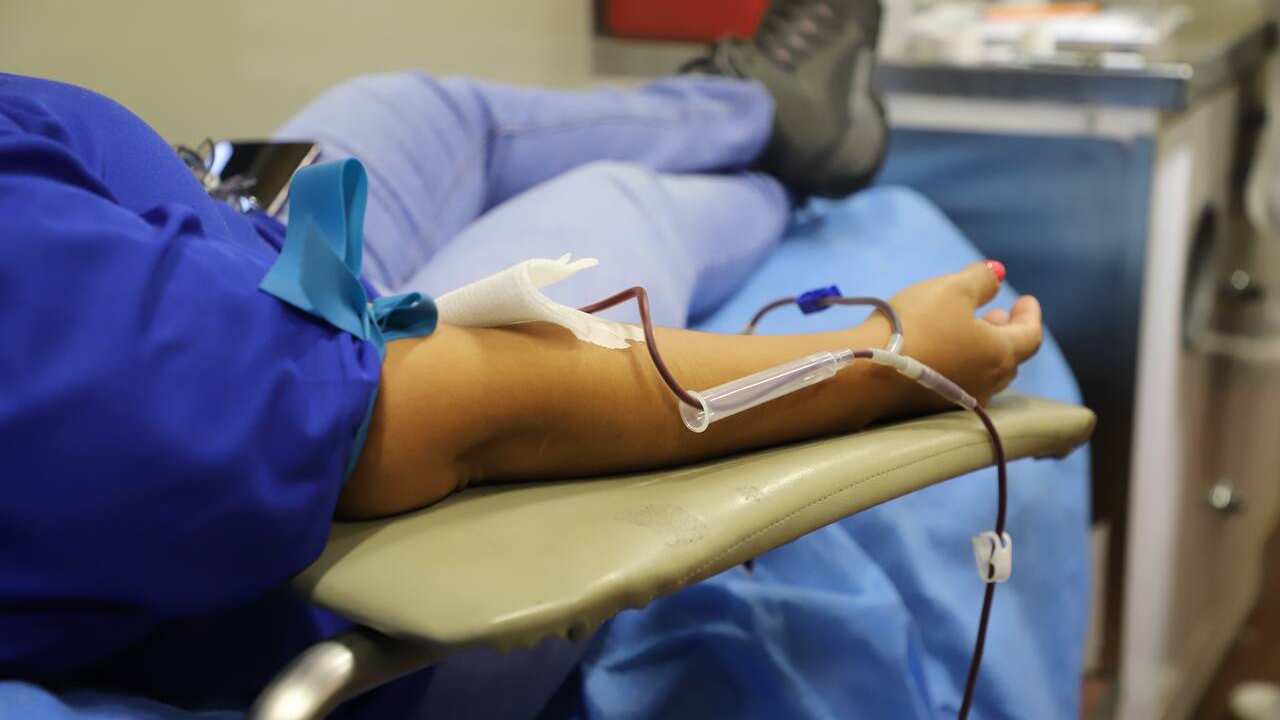 Los empleados calificaron el acto de donar como una actividad gratificante.