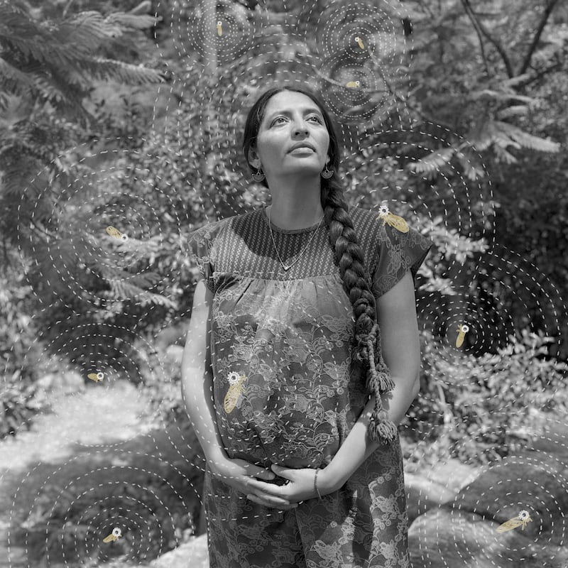 Sony World Photography Awards 2026