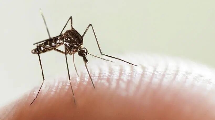 Guadalajara, Zapopan y Puerto Vallarta concentran la mayoría de los contagios en el estado. ESPECIAL