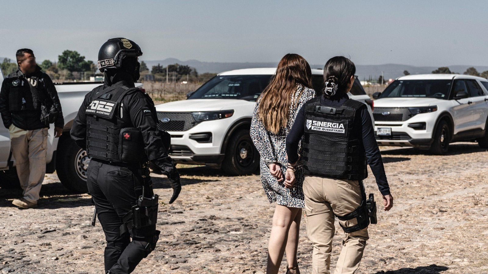 Sinergia realiza cateo por despojo en viñedo; cuatro personas detenidas