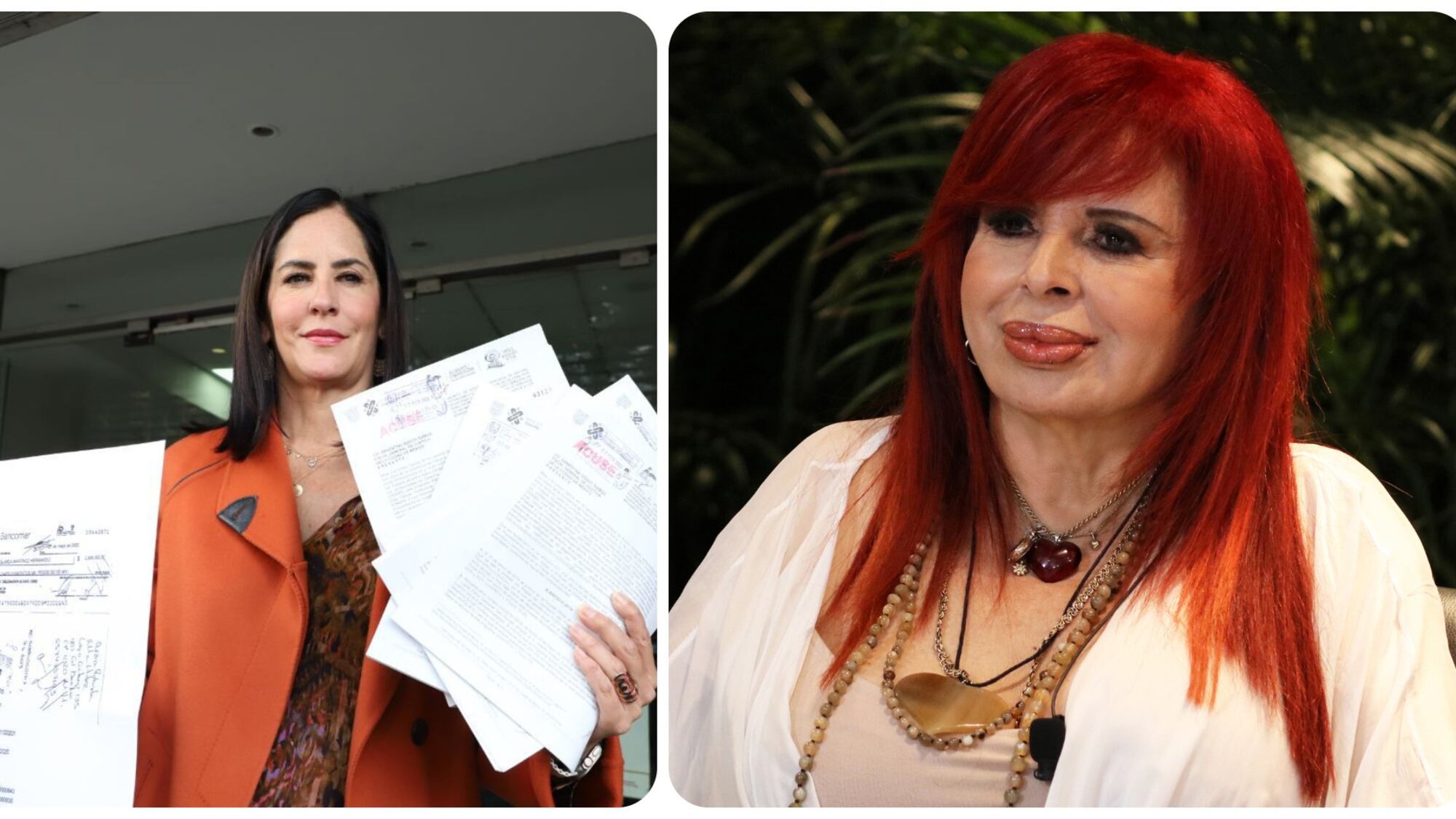 Lía Limón demanda a Layda Sansores