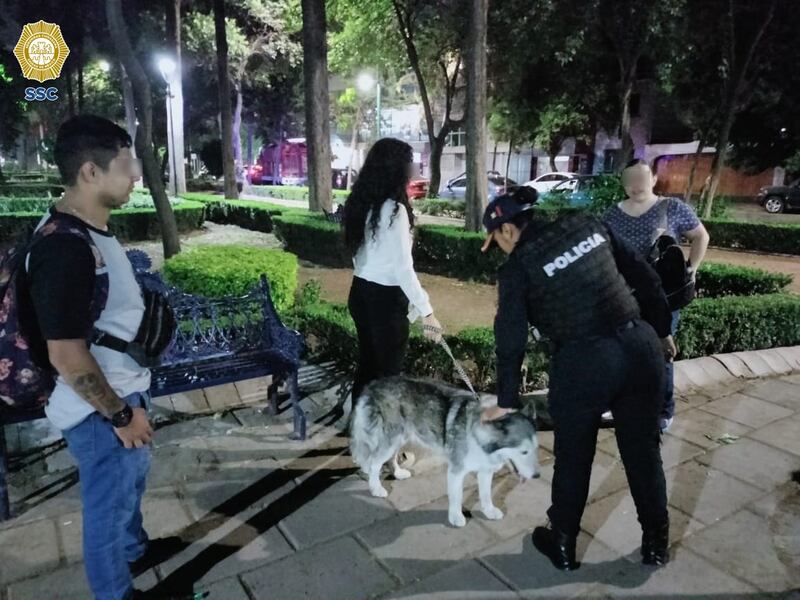 Perrito.