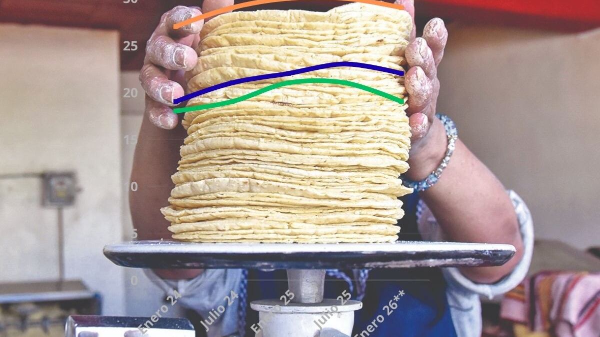 El precio de este alimento básico bajará gracias al Acuerdo Nacional Maíz–Tortilla.