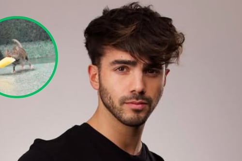 Fede Vigevani queda expuesto en redes: su misión para atrapar un ratón terminó en desastre