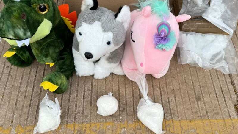 Decomisan drogas en Culiacán ocultas en muñecos de peluche