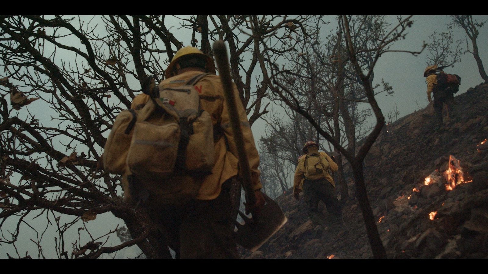 Olivia Luengas retrata los incendios forestales