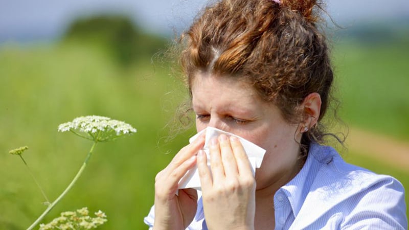 alergias estacionales
