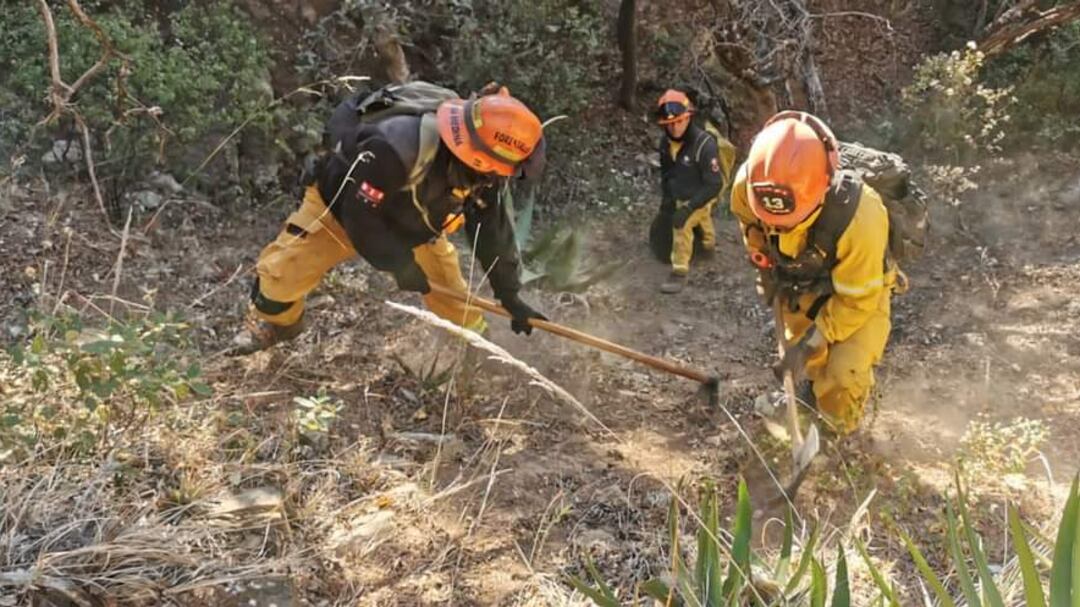 Participaron brigadistas de Nuevo León, Coahuila, Guardia Nacional y voluntarios.