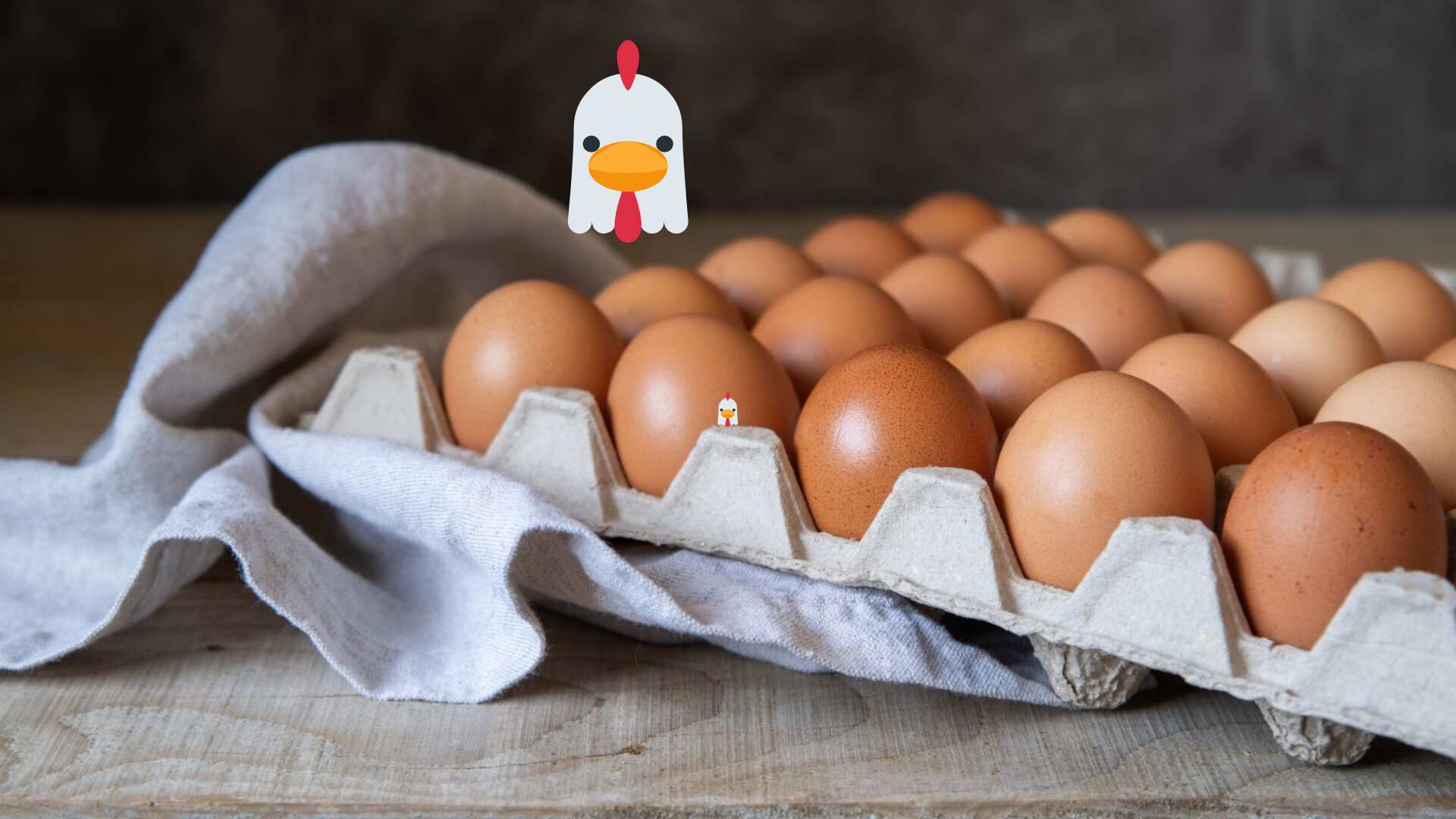 México tiene un ejército de 169.6 millones de gallinas ponedoras; Jalisco lidera la producción nacional, consolidando al país como gigante en huevos.