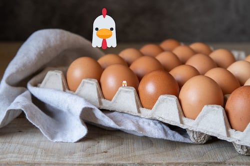 ¡Orgullo nacional! Mexicanos, los que más huevo comen en todo el mundo