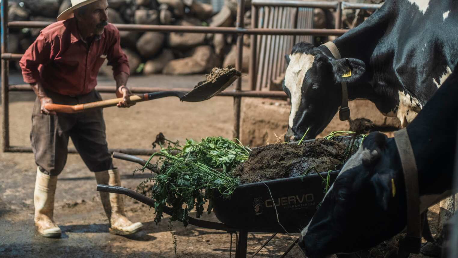 ¿Sabes que hay detrás de cada yoghurt? Estas historias te lo cuentan