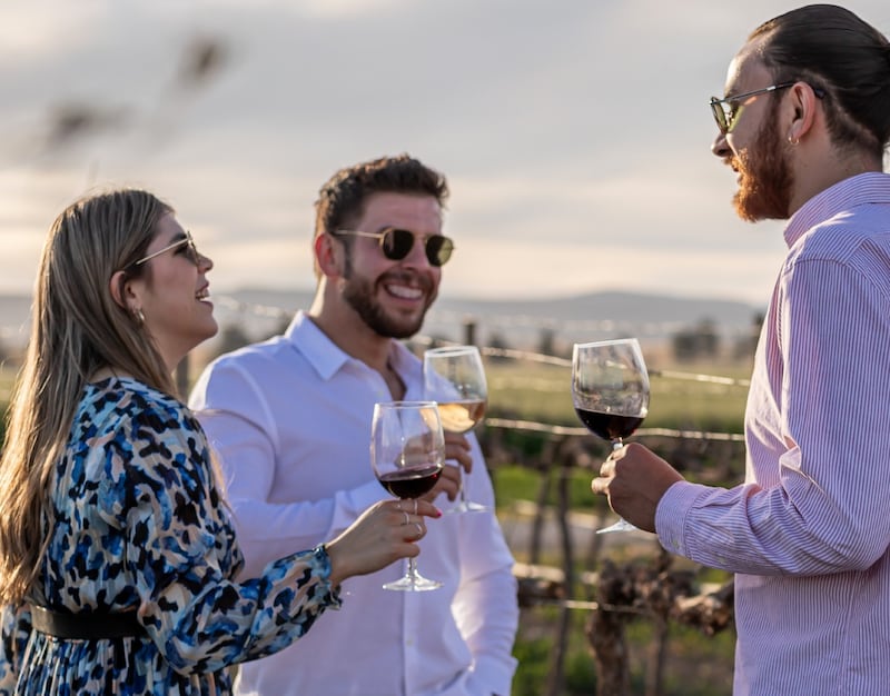 Vinos Camino de la Plata