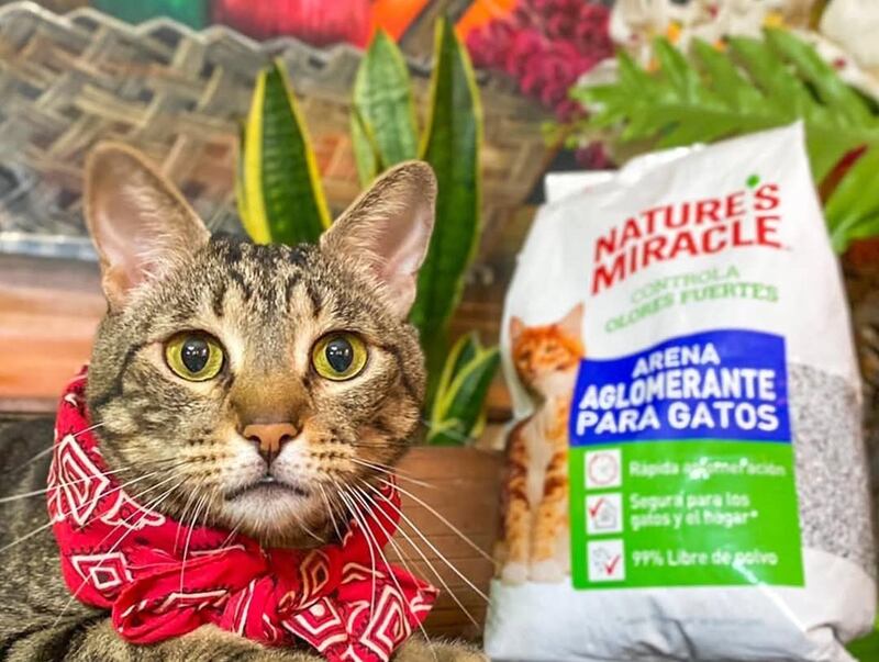 Productos Nature´s Miracle