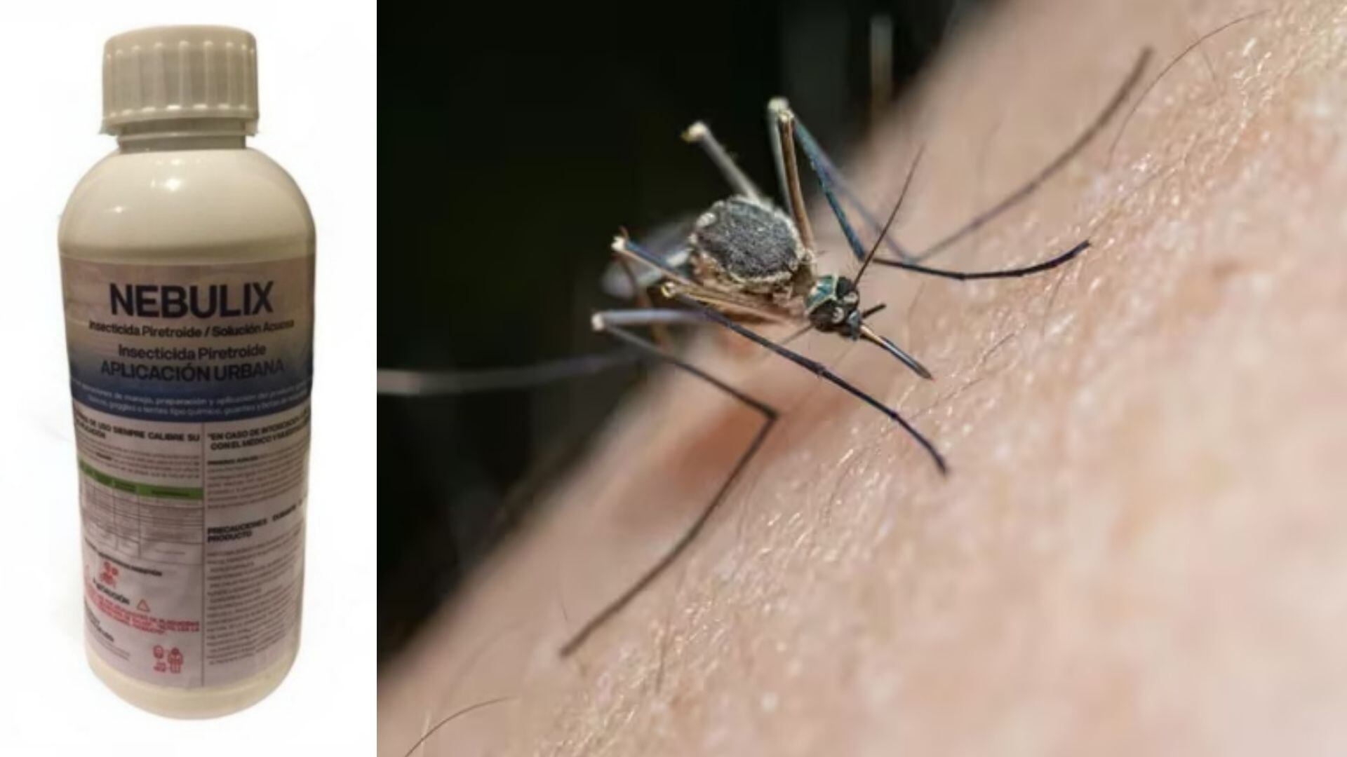 Se hizo un llamado a la población a no adquirir ni utilizar el insecticida Nebulix, así como a realizar denuncias sanitarias pertinentes.