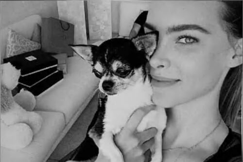Belinda y los famosos que han despedido a sus mascotas
