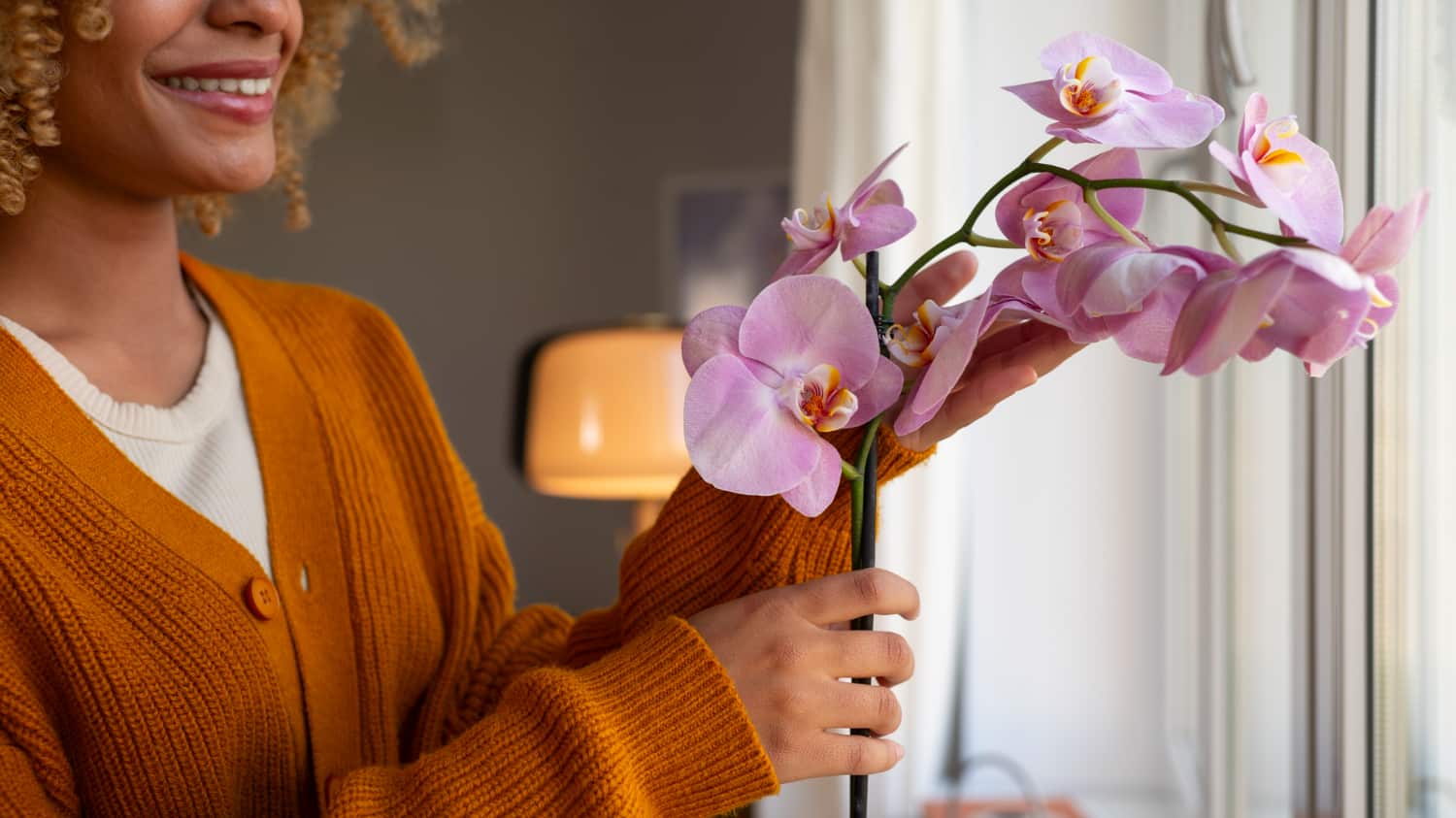 Lirios de Florería Blanc