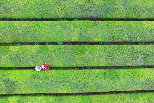 La Región del Mar Negro: el lado más verde de Turquía
