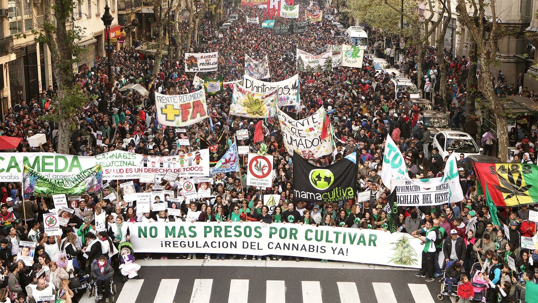 Argentina es pionera en regular uso comercial de la Cannabis