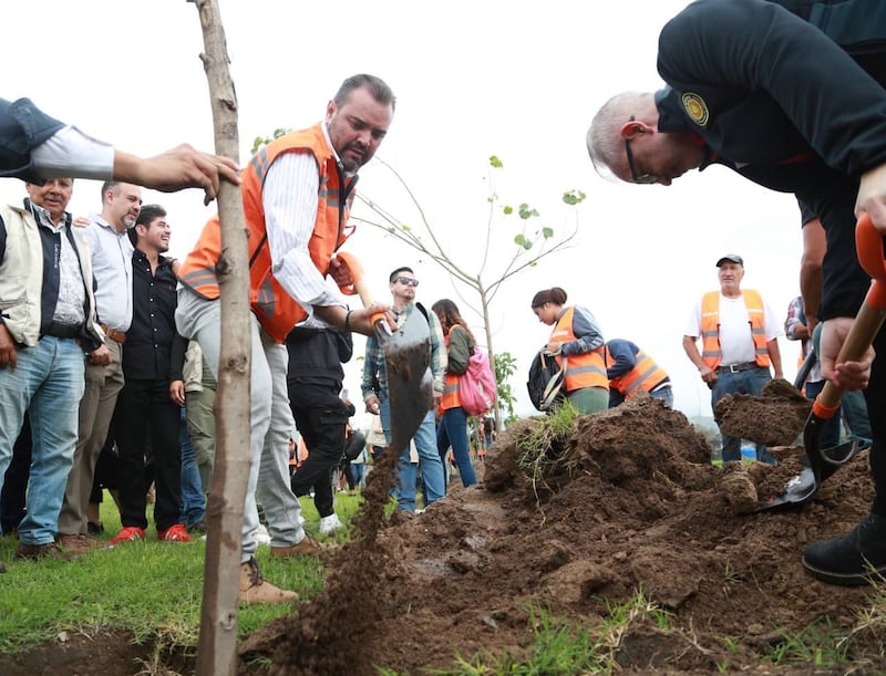 Tlajomulco apuesta por 20 mil árboles para 2025. CORTESÍA
