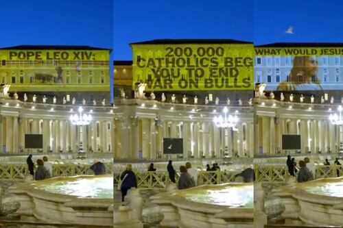 ¿Qué haría Jesús?: Piden al papa León XIV el fin de las corridas de toros con proyección gigante en el Vaticano