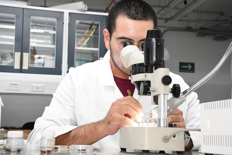 CU2, campus de formación en tecnologías de alta especialidad
