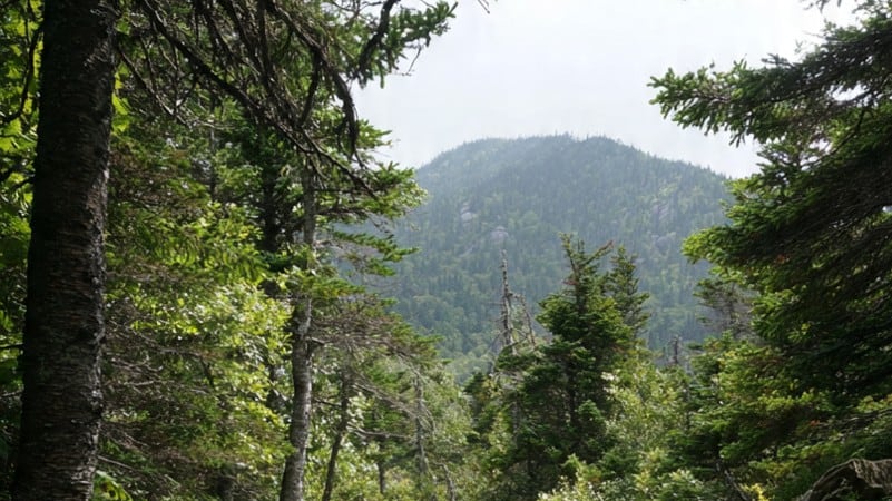 Los parajes de Nuevo León atraerán a los turistas, afirmó director de Protección Civil.