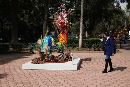 Tras dos años de ausencia las flores han regresado a colorear las calles de Polanco, en la Ciudad de México.