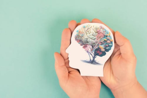 Buscan reconocer la salud mental como un derecho constitucional