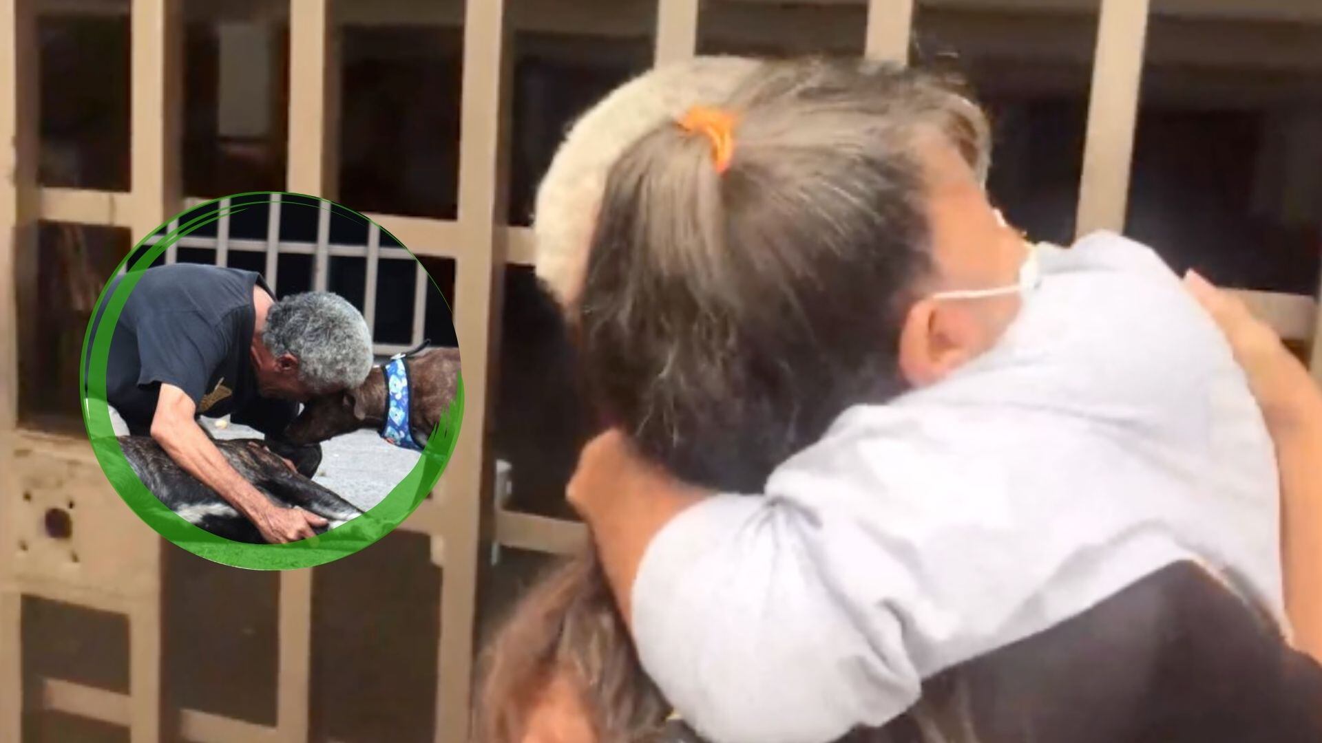 Don José Luis es conocido por vecinos de la zona, siempre trabajando al lado de sus perros, como el fallecido 'Zeus'.