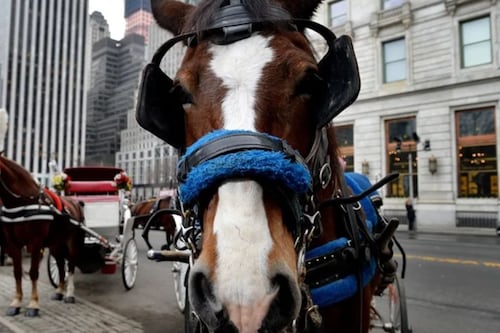 Nueva York pone fin a 150 años de tradición: prohibirá los carruajes de caballos en Central Park